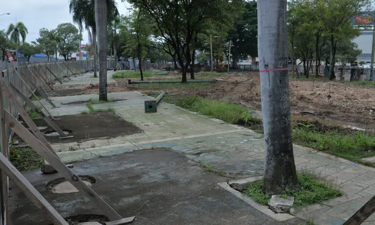 Alcaldía DN quita figuras de animales del ‘Zooberto’