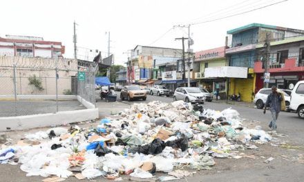 Residentes en cuatro barrios del Distrito Nacional están agobiados por la basura