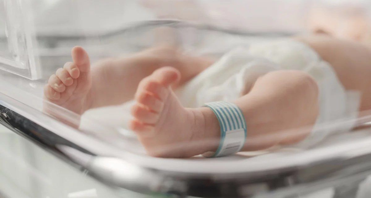 La ONG Save the Children denuncia: «Nacer hoy en Gaza es nacer muerto»
