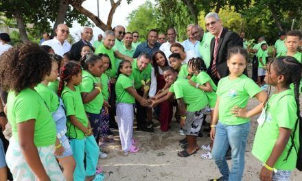 COOPNAMA REALIZA TRADICIONAL CAMPAMENTO INFANTIL DE VERANO PARA HIJOS DE SOCIOS