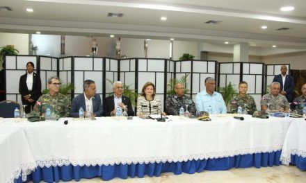 Gobierno informa Fuerza de Tarea Conjunta cumple su primer año alcanzando resultados significativos en materia de seguridad ciudadana.