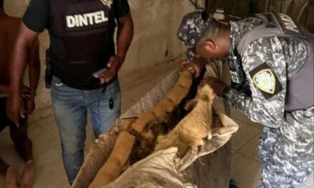 Policía Nacional desmantela punto de drogas en el municipio Villa Hermosa, La Romana, y recupera motocicleta.