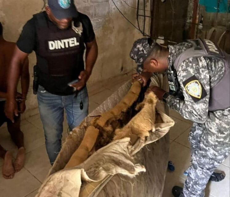 Policía Nacional desmantela punto de drogas en el municipio Villa Hermosa, La Romana, y recupera motocicleta.
