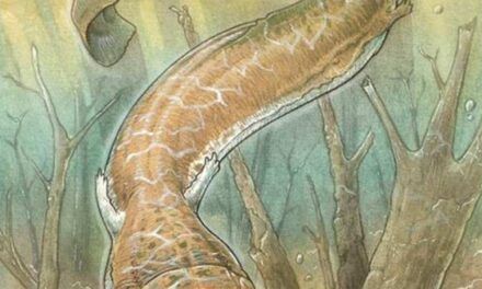 Extraña criatura extinta parecida a una salamandra gigante