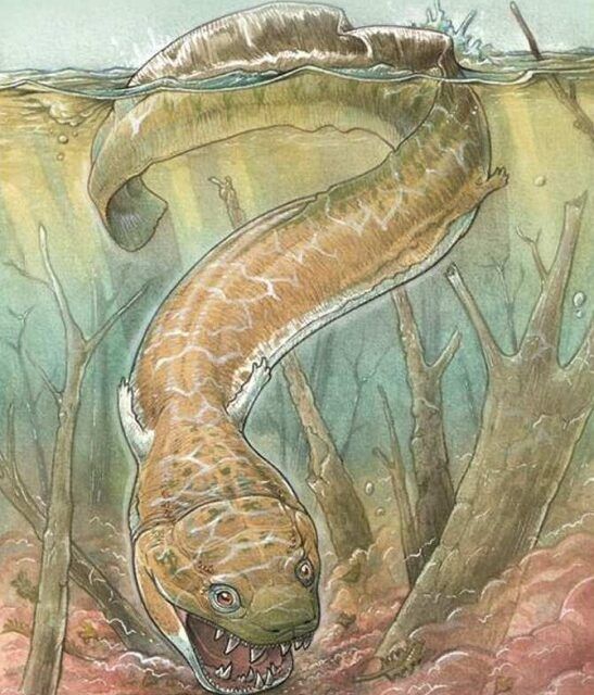 Extraña criatura extinta parecida a una salamandra gigante