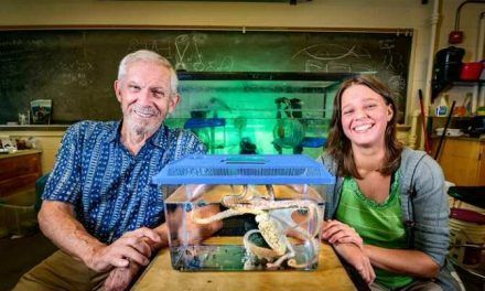 Inteligencia artificial autosuficiente inspirada en instintos animales