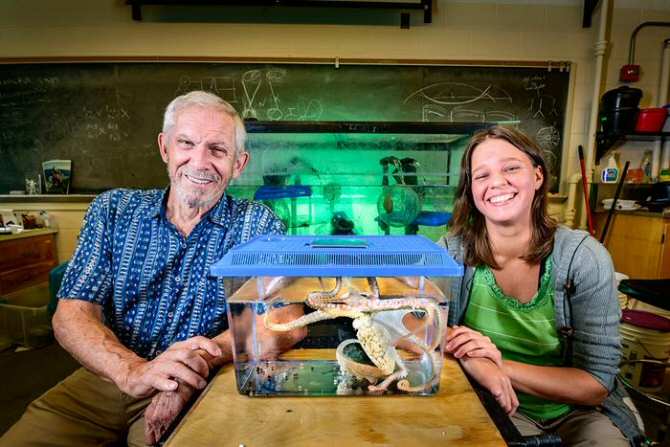 Inteligencia artificial autosuficiente inspirada en instintos animales