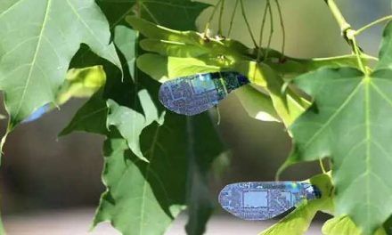 Robots controlados por luz y con forma de semilla de arce
