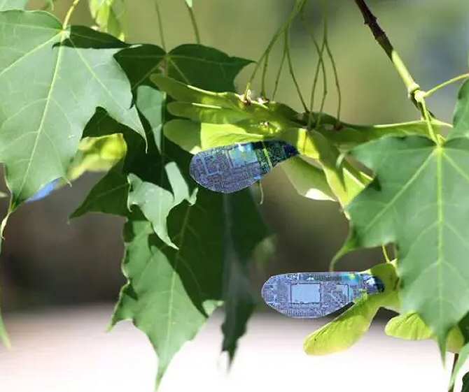 Robots controlados por luz y con forma de semilla de arce