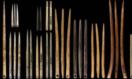 La moda se remonta a 40.000 años con la invención de la aguja con ojo
