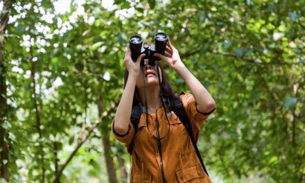 Hacer de la observación de aves una práctica común
