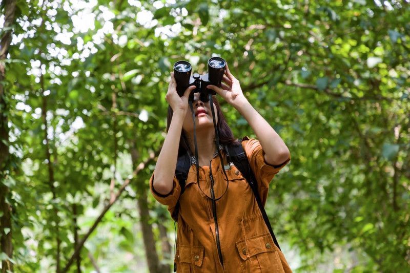 Hacer de la observación de aves una práctica común