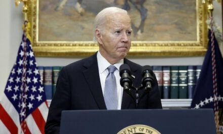 Para los republicanos, Biden dio las órdenes