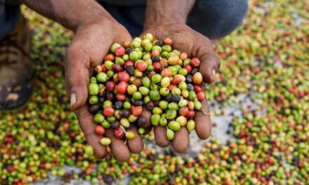 Embrapa y el gran aporte de Brasil a la seguridad alimentaria dominicana