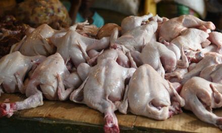 Pollo en mercados: precio sigue por encima de RD$80 y la calidad es “inestable”
