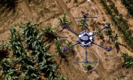 Agricultores de un tipo que cada vez veremos más