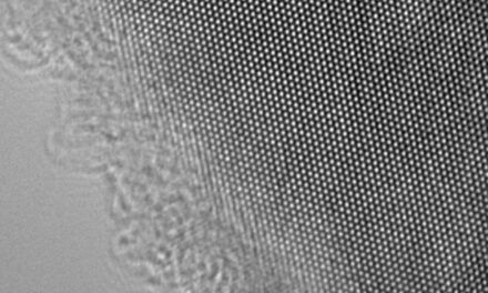 El microscopio más potente del mundo