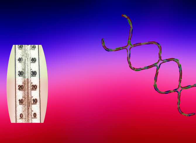 Insólito sistema de refrigeración con ADN