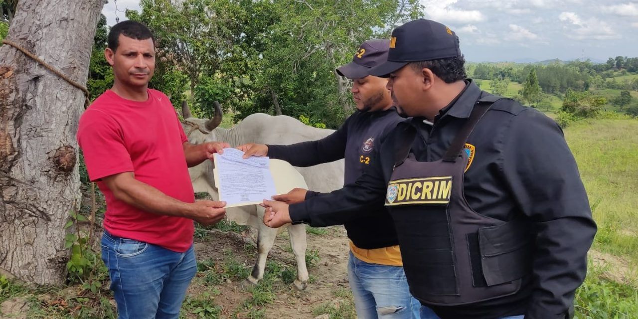 Autoridades entregan toro a ganadero dominicano recuperado en Juana Méndez