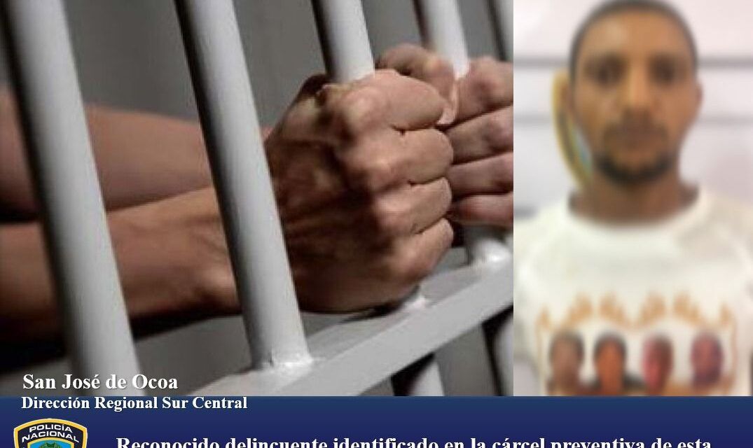 Reconocido delincuente identificado en la cárcel preventiva de esta 36 cia, ejecución de orden de arresto por robo en Ocoa