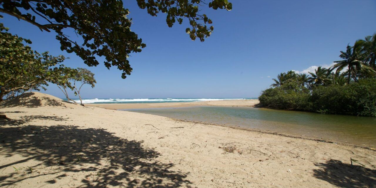 Medio Ambiente da luz verde a Punta Bergantín: levantarán 9 hoteles