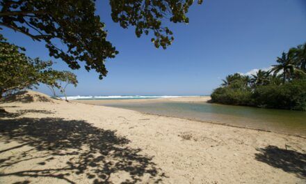 Medio Ambiente da luz verde a Punta Bergantín: levantarán 9 hoteles