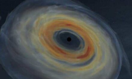 Detectar ondas gravitacionales generadas por estrellas que se derrumban sobre sí mismas