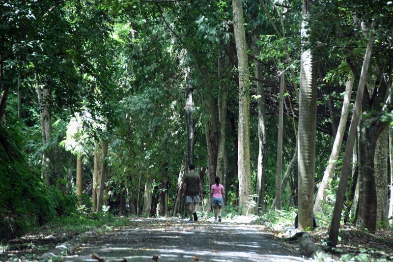 Parque Mirador Norte: Una flora en apuros