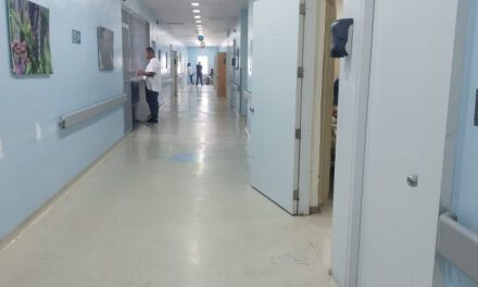 Salud mental requiere más personal y camas