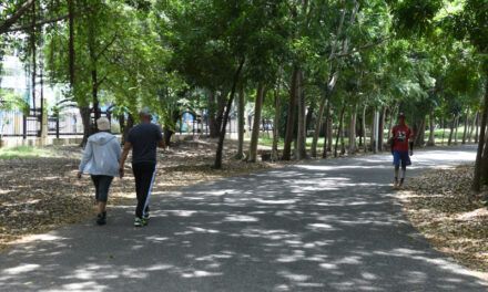El Parque Mirador del Este lucha por conservar su brillo