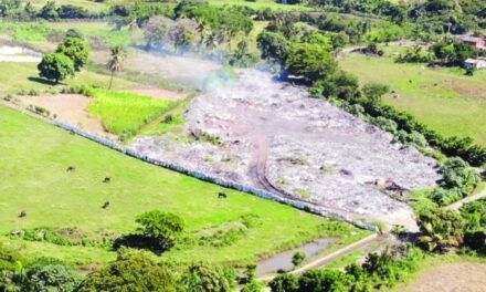 Coordinan erradicar vertederos a la vera del canal Marcos A. Cabral