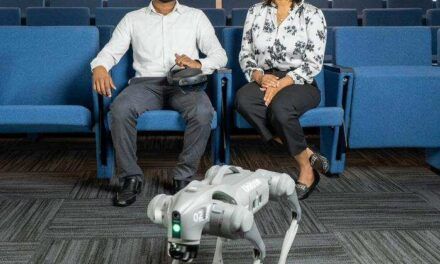 ¿El inicio de los perros robóticos como mascotas?