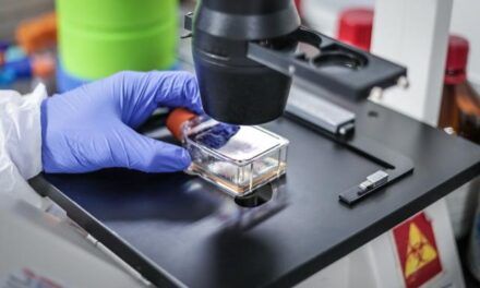 Crean cajas moleculares para hacer fármacos anticancerígenos más efectivos y menos tóxicos