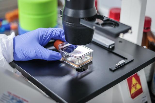 Crean cajas moleculares para hacer fármacos anticancerígenos más efectivos y menos tóxicos