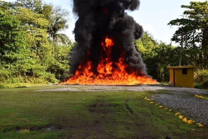 Procuraduría quema 950 kilogramos de distintas drogas en la última semana
