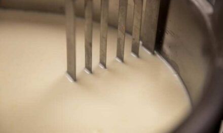Microbios buenos y malos en nuestra comida