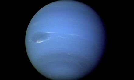 Los exoplanetas como Neptuno se acumulan en una región particular cercana a sus estrellas