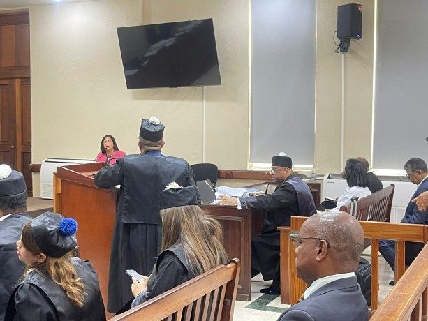 Diputada tenía hijo en centro de Elizabeth; “me enteré por la prensa era falsa doctora”