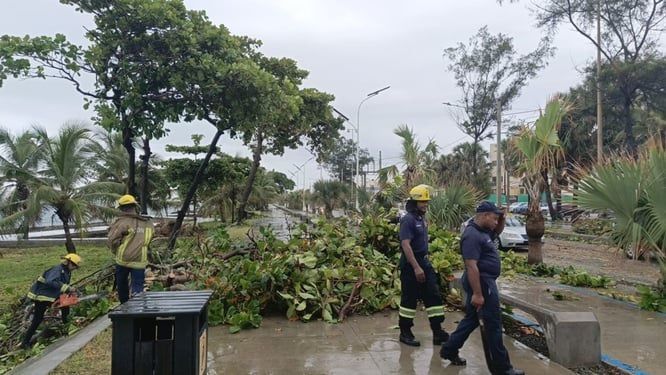 Bomberos y Alcaldía DN retiran árboles caídos y recuperan zonas afectadas por lluvias