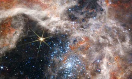 Descubren decenas de estrellas fugitivas en el cúmulo estelar joven R136