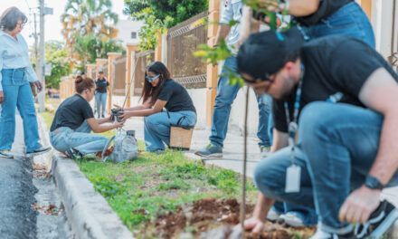 Alcaldía del DN desarrolla plan de arbolado urbano en la Zona Universitaria