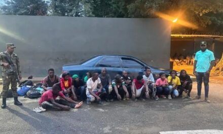 El Ejército detiene vehículo con 14 haitianos indocumentados en Montecristi