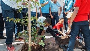 Alcaldía del DN inicia Plan de Arbolado urbano con estudiantes en la calle 42 de Capotillo