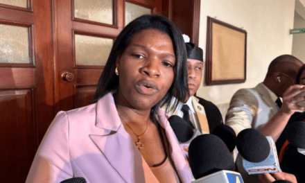 Siete años de prisión para Elizabeth Silverio y multa de RD$2 millones para cada víctima