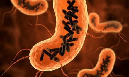 Descubren una nueva entidad biológica que habita en el cuerpo humano