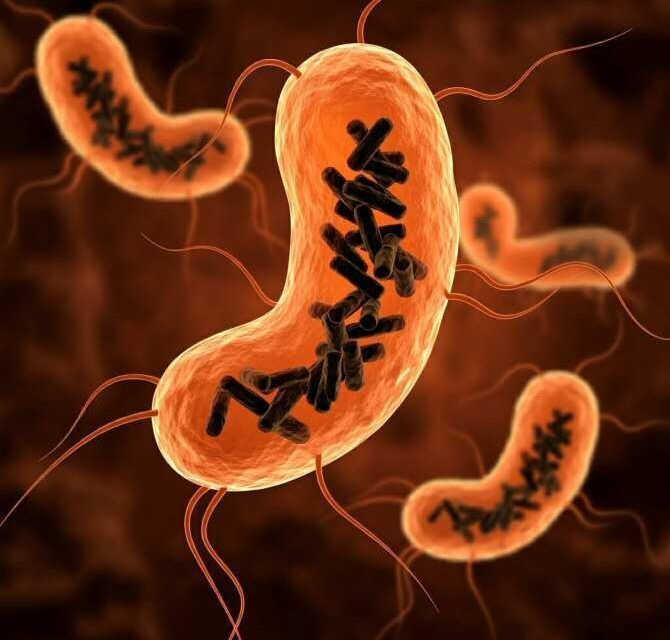 Descubren una nueva entidad biológica que habita en el cuerpo humano