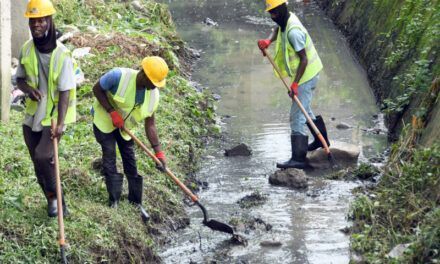 En Los Ríos tienen cuatro años esperando intervención de cañada Las 800