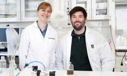 Usar bacterias para capturar y transformar dióxido de carbono