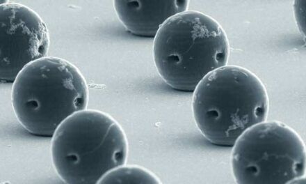 Microrrobots intracorporales hechos de hidrogel y bioabsorbibles