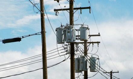 Dictan prisión preventiva contra hombre acusado de sustraer cables del tendido eléctrico